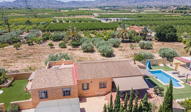 Begagnad - Finca - Albatera - Costa Blanca