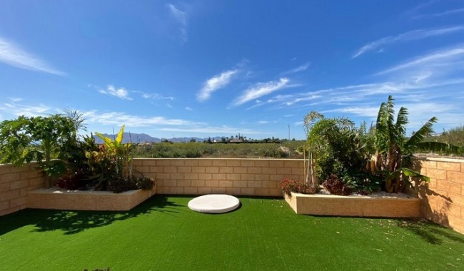 Begagnad - Finca - Albatera - Costa Blanca