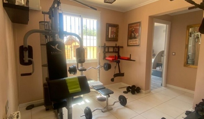 Begagnad - Finca - Albatera - Costa Blanca