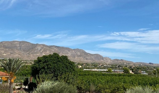 Begagnad - Finca - Albatera - Costa Blanca