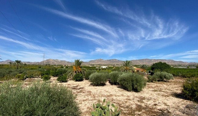 Begagnad - Finca - Albatera - Costa Blanca