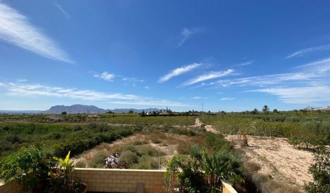 Begagnad - Finca - Albatera - Costa Blanca