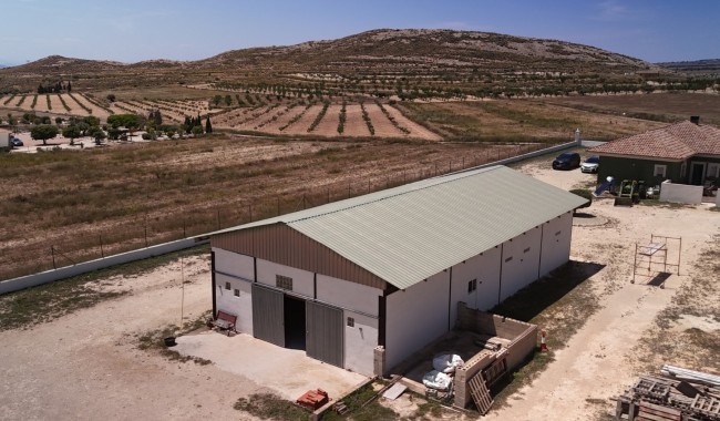 Resale - Finca - Torre Del Rico