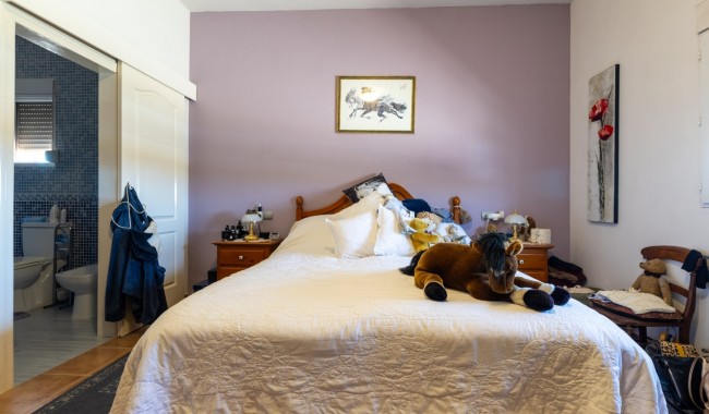 Resale - Finca - Torre Del Rico