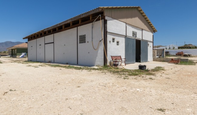 Resale - Finca - Torre Del Rico