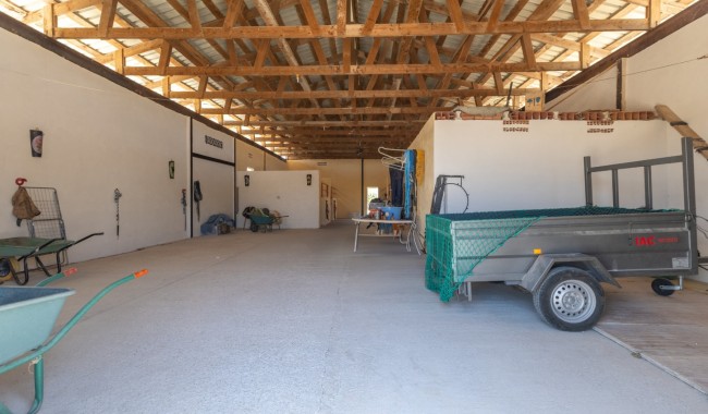 Resale - Finca - Torre Del Rico