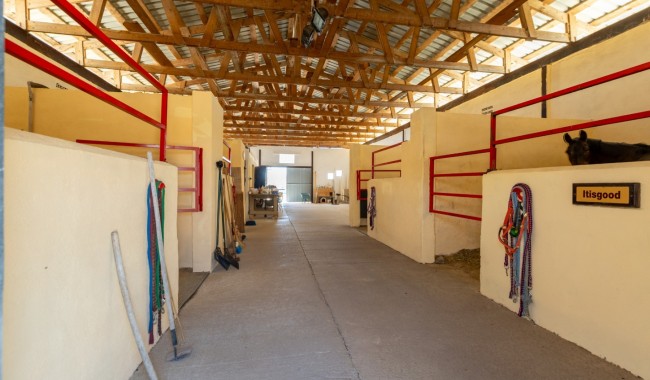 Resale - Finca - Torre Del Rico