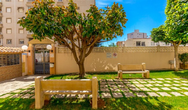 Begagnad - Lägenhet - Torrevieja - Centro