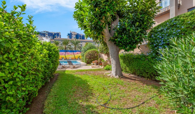 Segunda mano - Semi separado - Orihuela - Punta Prima