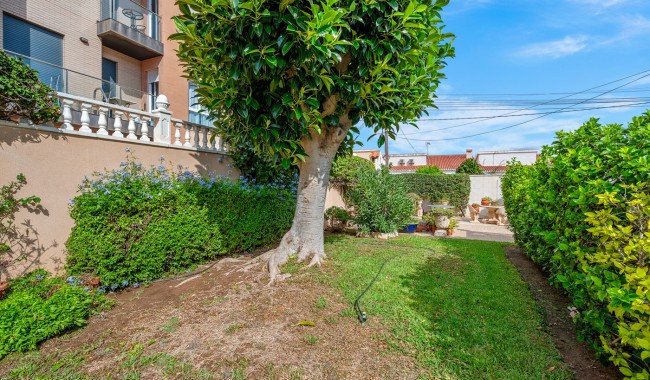 Segunda mano - Semi separado - Orihuela - Punta Prima