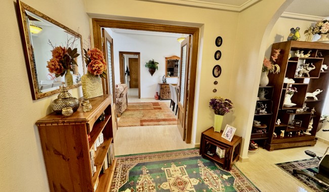 Resale - Finca - Catral