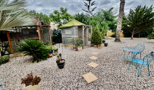 Resale - Finca - Catral