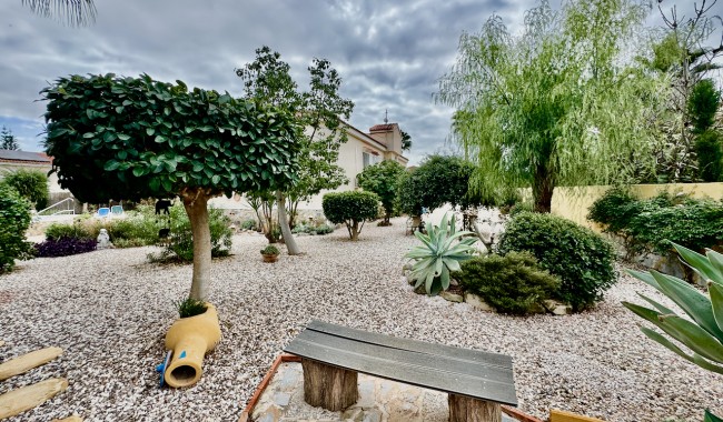 Resale - Finca - Catral