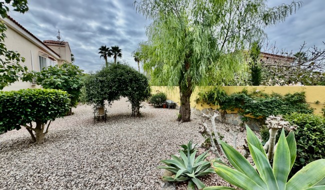 Resale - Finca - Catral