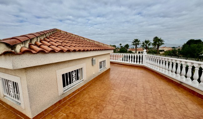 Resale - Finca - Catral