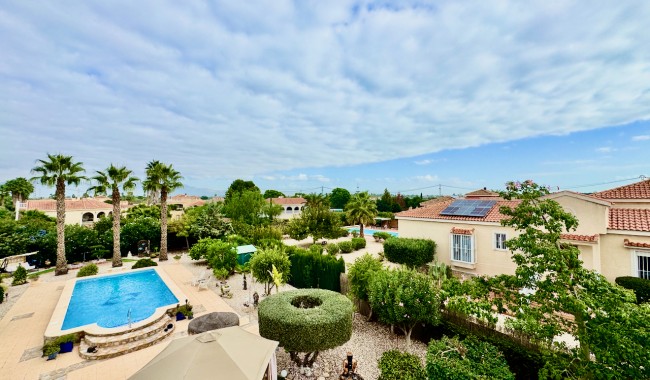 Resale - Finca - Catral