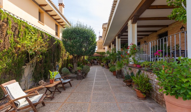 Brukt - Villa - Torrevieja - La Veleta