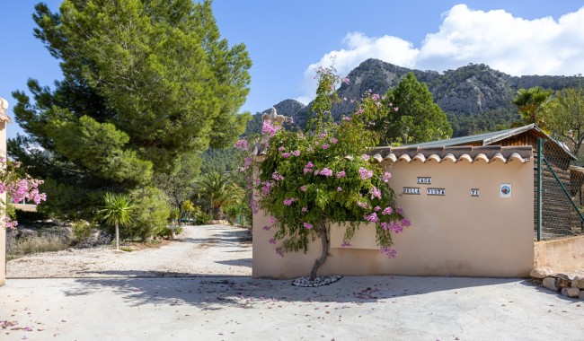 Begagnad - Villa - La Zarza - La Zarza Murcia