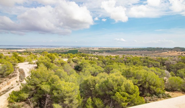 Segunda mano - Apartamento - San Miguel de Salinas