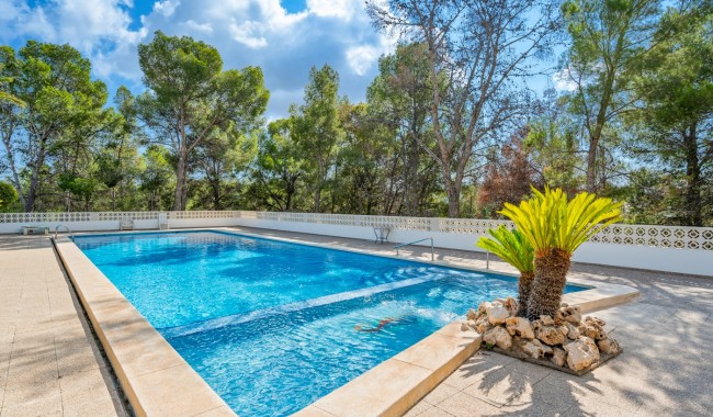 Sprzedaż - Apartament - La Nucia