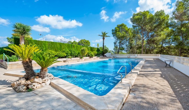 Sprzedaż - Apartament - La Nucia