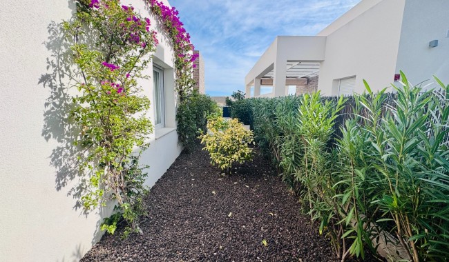 Begagnad - Villa - Algorfa