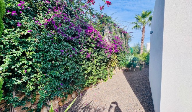 Begagnad - Villa - Algorfa