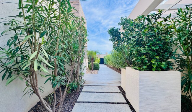 Begagnad - Villa - Algorfa