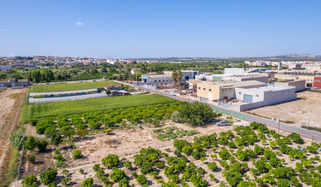 Brukt - Tomt - Formentera del Segura - Formentera de Segura