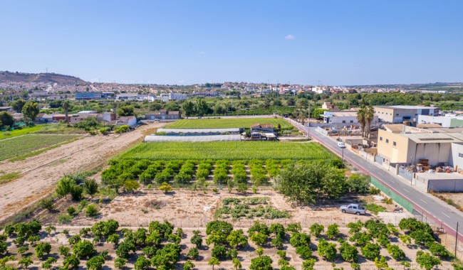 Brukt - Tomt - Formentera del Segura - Formentera de Segura
