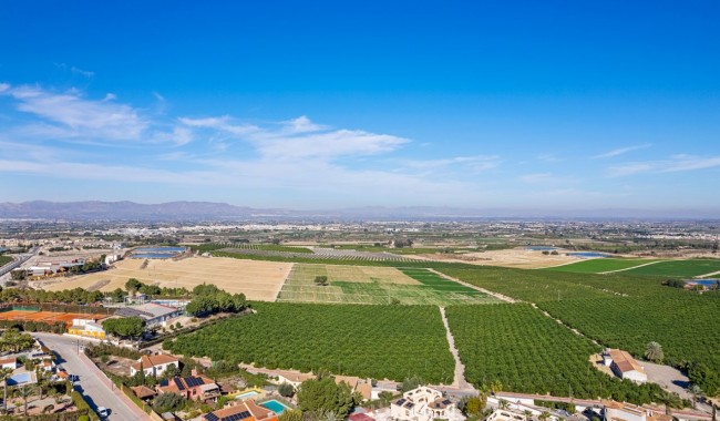 Segunda mano - Villa - Almoradi - Lomas De La Juliana