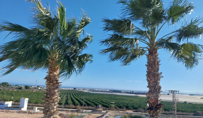 Sprzedaż - Apartament - Pilar de La Horadada