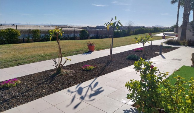 Sprzedaż - Apartament - Pilar de La Horadada