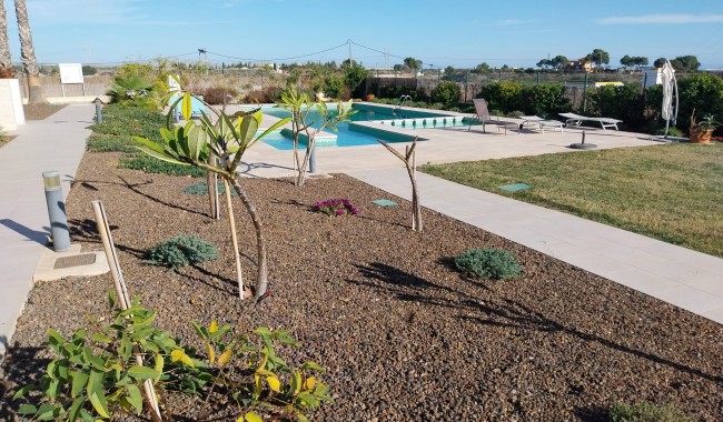 Sprzedaż - Apartament - Pilar de La Horadada