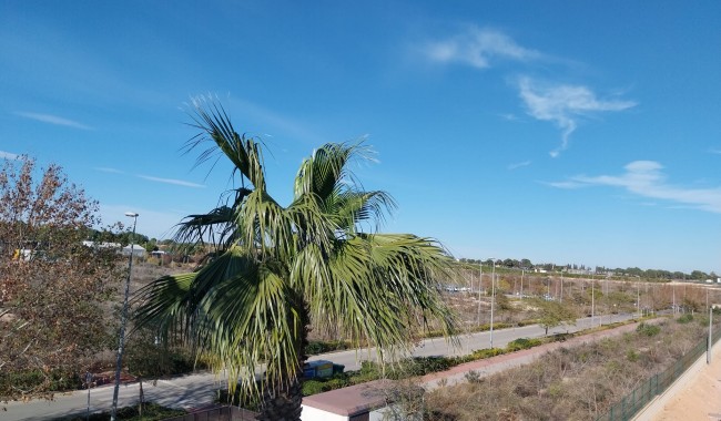 Sprzedaż - Apartament - Pilar de La Horadada