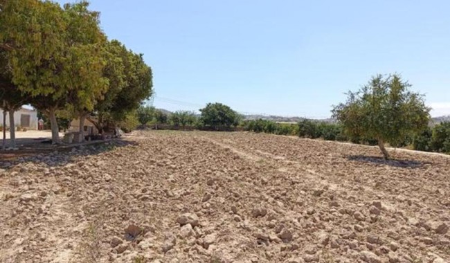 Begagnad - Finca - Ciudad Quesada/Rojales - Ciudad Quesada