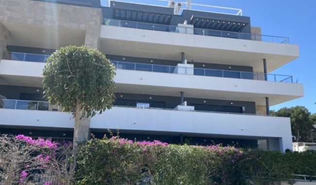 Begagnad - Lägenhet - Orihuela Costa - Playa Flamenca