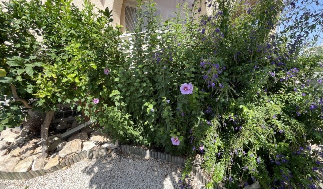 Segunda mano - Villa - Ciudad Quesada/Rojales - Ciudad Quesada