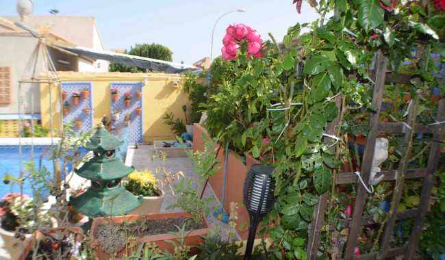 Begagnad - Villa - Orihuela - La Florida