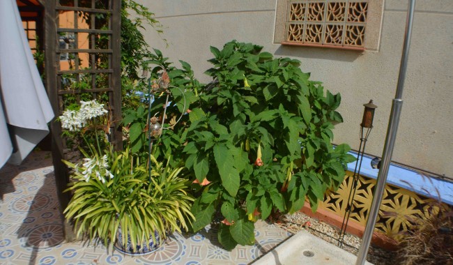 Begagnad - Villa - Orihuela - La Florida