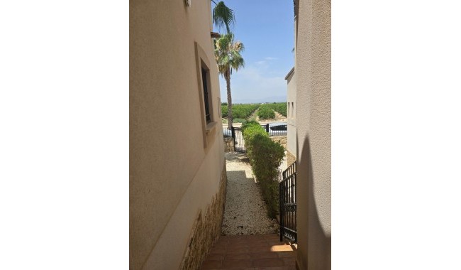 Sprzedaż - Bliźniak - Algorfa - La finca golf