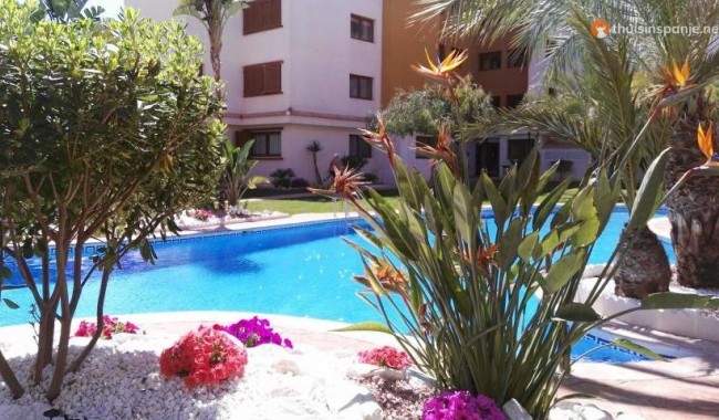 Segunda mano - Apartamento - Punta Prima - La Entrada