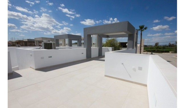 Nybygg - Villa - San Fulgencio