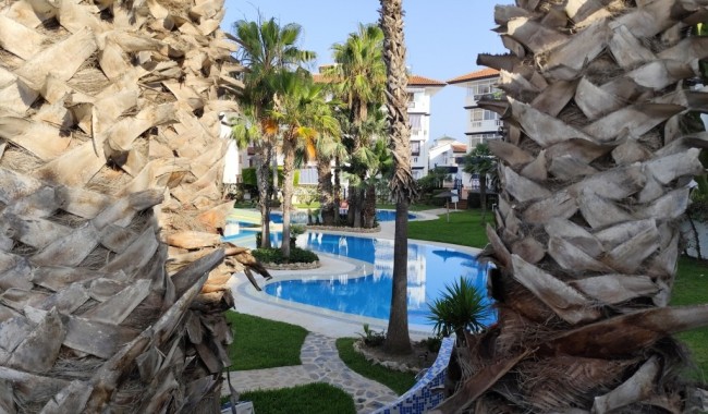 Sprzedaż - Apartament - Torrevieja