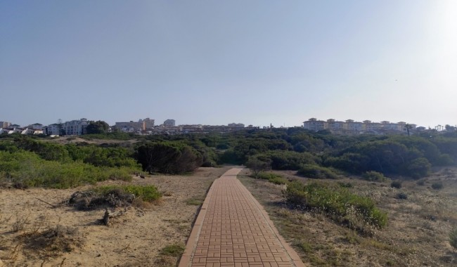 Sprzedaż - Apartament - Torrevieja