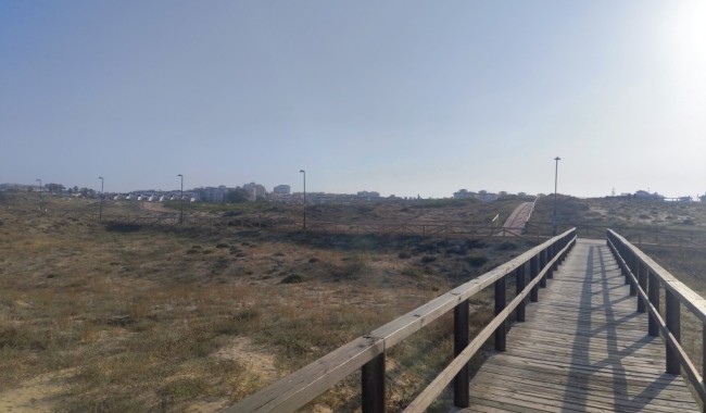 Sprzedaż - Apartament - Torrevieja