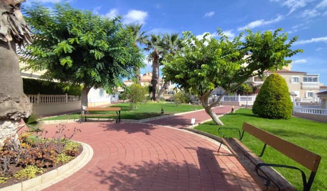 Begagnad - Lägenhet - Orihuela - Orihuela Costa