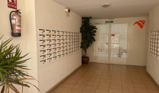 Segunda mano - Apartamento - Almoradi