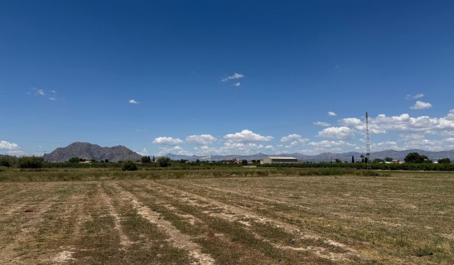 Segunda mano - Apartamento - Almoradi
