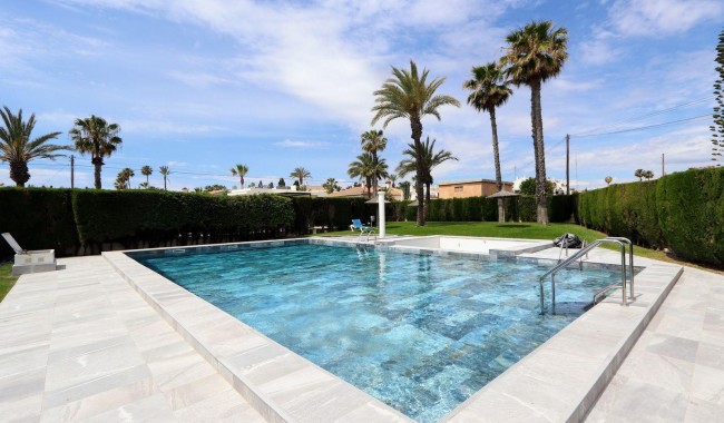 Begagnad - Lägenhet - Torrevieja - Playa Flamenca